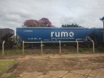 RUMO HTT-352763-8